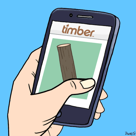 Timber Logs