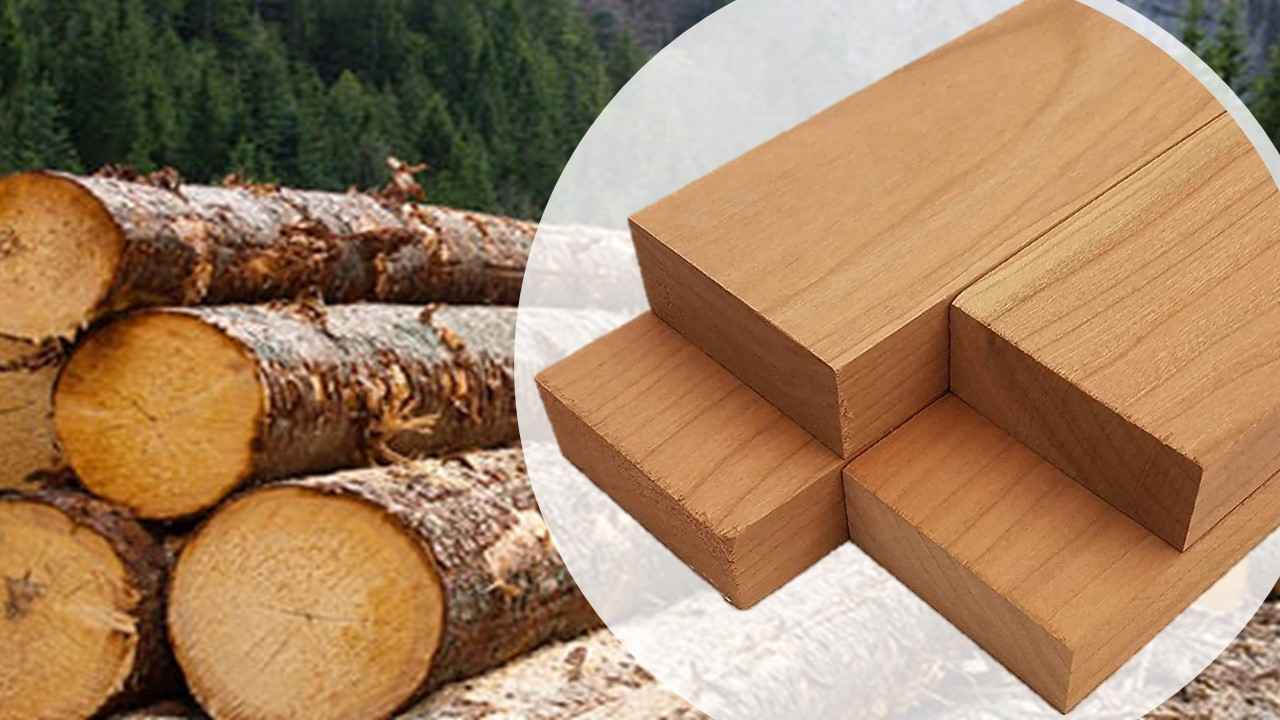 Timber Workshop